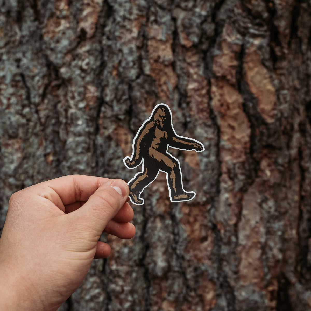 The Serious Bigfoot Sticker – CDA IDAHO Clothing Company