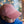 Load image into Gallery viewer, Hot Pink Toddler Hat
