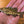 Smallmouth Bass Iron-On Patch | Quality Fish Patches