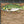 Largemouth Bass Iron-On Patch | Quality Fish Patches