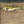 Walleye Iron-On Patch | Quality Fish Patches