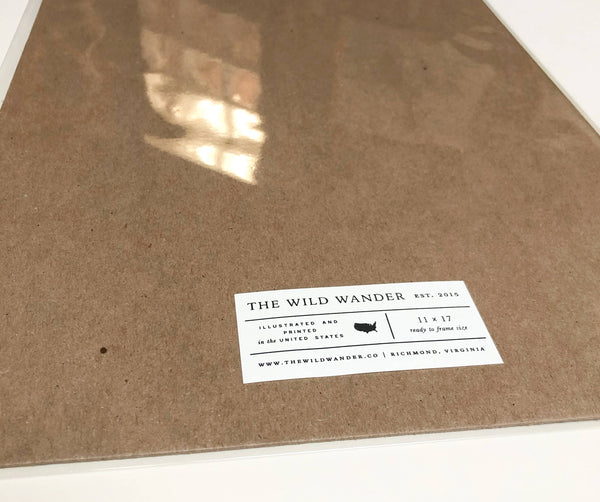 Yellowstone National Park Field Guide