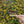 May the Forest Be With You Sticker