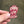 OG Gem State Stampede Horse Rider - Wooden Magnet
