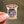 Party In The Dirt Concert Series - Wooden Magnet