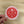 CDA Hand Drawn Circle Logo Sticker