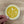 CDA Hand Drawn Circle Logo Sticker