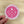 CDA Hand Drawn Circle Logo Sticker
