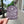 Coeur d'Alene Sunny Daze Sticker - Mauve