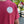Scenes Of Coeur d'Alene Vintage Red Tee