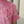 Coeur d'Alene Sunny Daze Tee - Hibiscus