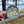Cataldo Mission Coeur d'Alene Sticker
