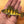 Perch Iron-On Patch | Quality Fish Patches