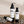 Hand and Body Lotion
