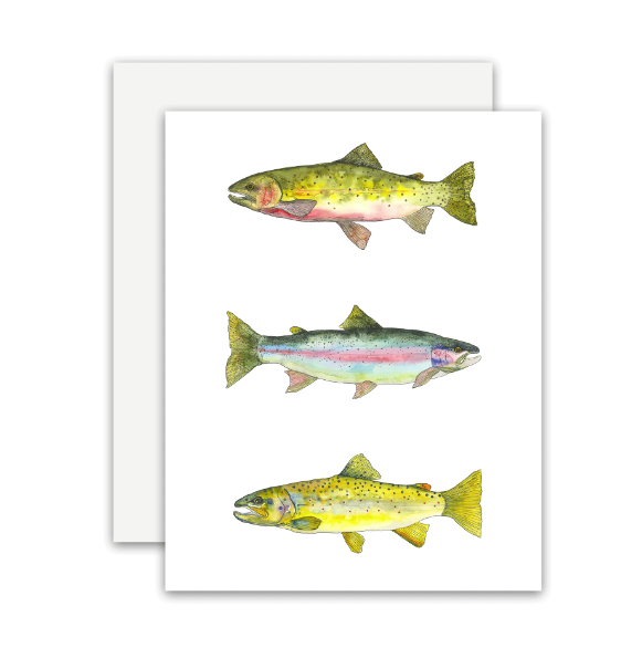 Trout Trio Card