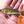 Walleye Iron-On Patch | Quality Fish Patches