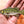 Largemouth Bass Iron-On Patch | Quality Fish Patches
