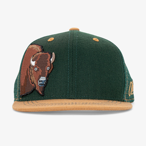 Aksels kids Bison flatbill snapback hat in green and tan