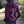CDA Idaho Logo 1887 Lake Maroon Zip Hoodie
