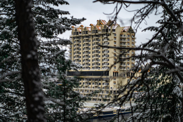 CDA Resort Through The Trees Postcard