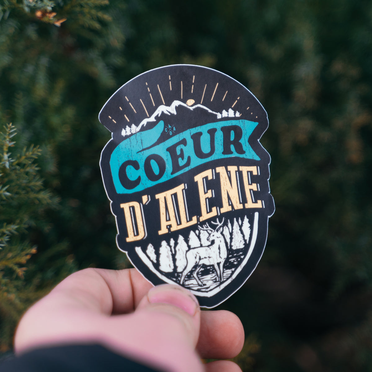 Coeur d'Alene Forest Elk Sticker – CDA IDAHO Clothing Company