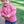 Toddler Pink Happy Hoodie