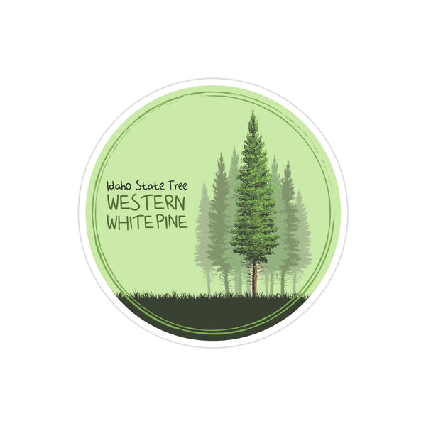 Idaho State Tree Sticker