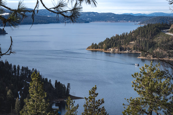 Mineral Ridge Lake View Postcard