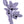 Idaho Native Plants: Huckleberry Sticker