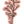 Idaho Native Plants: Sagebrush Sticker
