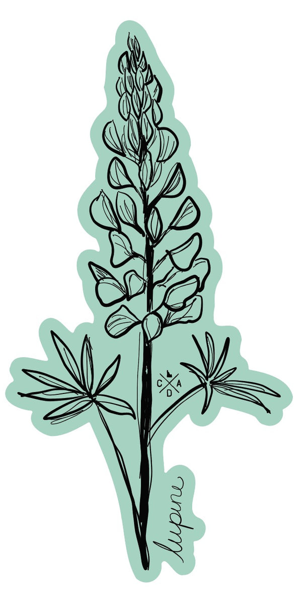Idaho Native Plants: Lupine Sticker