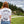 North Idaho Logo White Tee