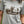 Coeur d'Alene Paddleboard Bear Tee
