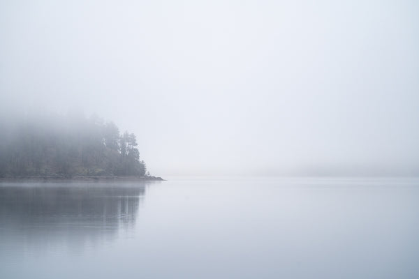 Peninsula In The Fog Postcard