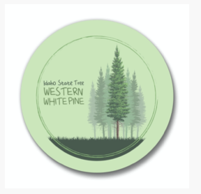 Idaho State Tree Magnet
