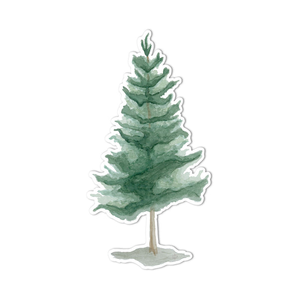 Watercolor Pine Tree Sticker